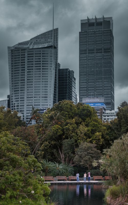 lake, park, garden, water, tree, nature, urban, green, royal, australia, sydney, people, reflection Hudson фото превью