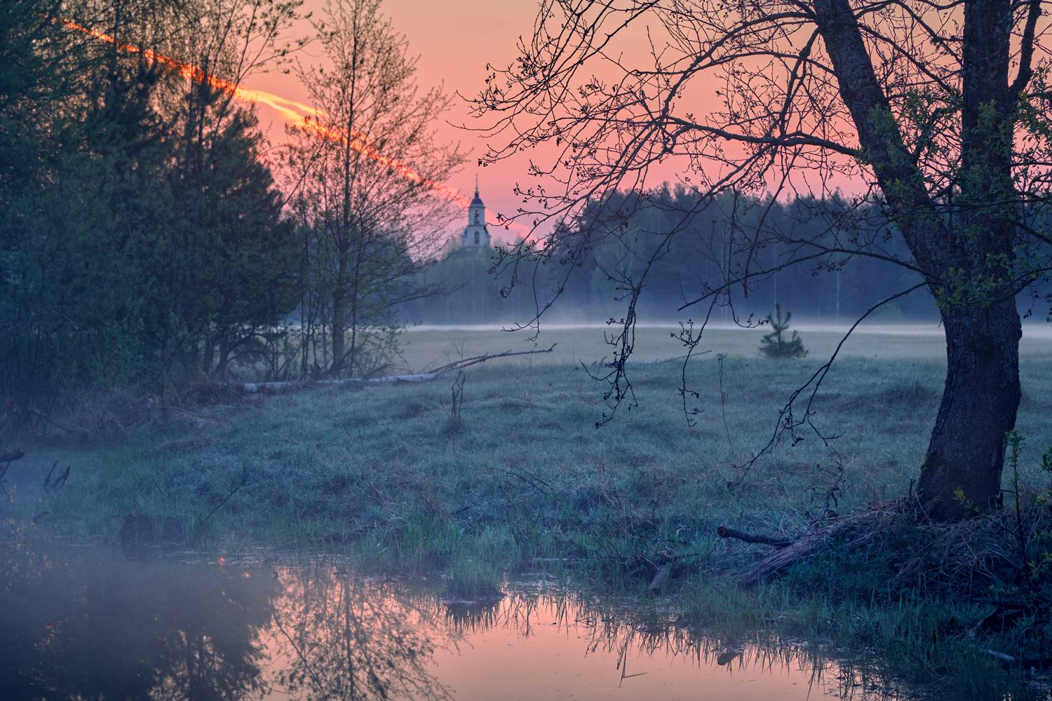 , Роман Лушпа