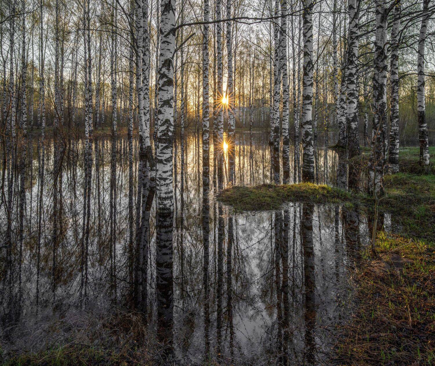 , Карепанов Евгений