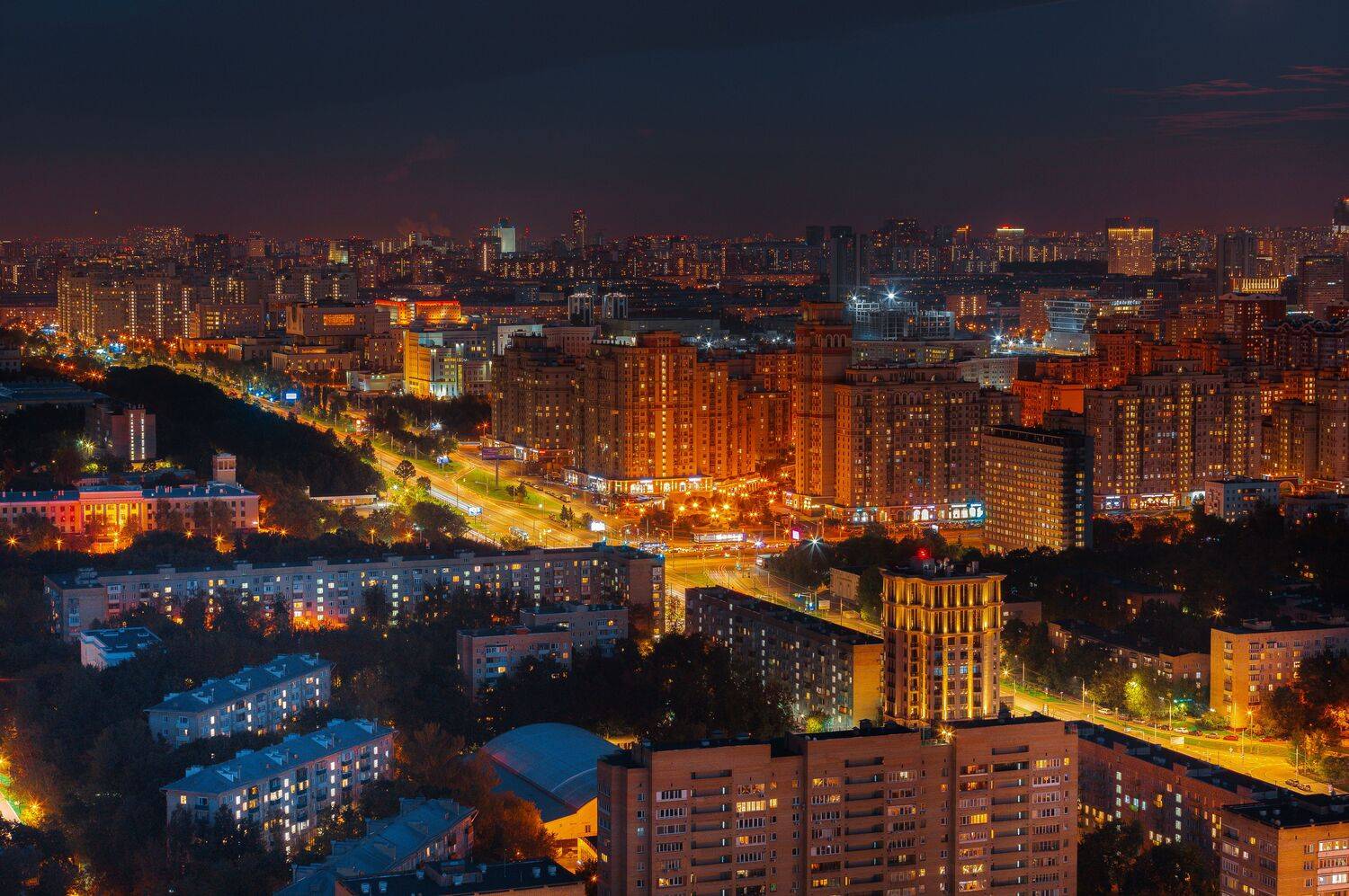 , Трепольский Дмитрий