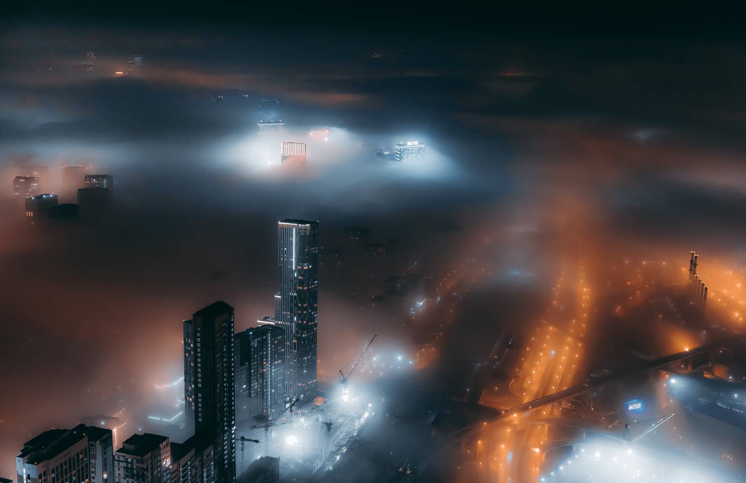 , Трепольский Дмитрий