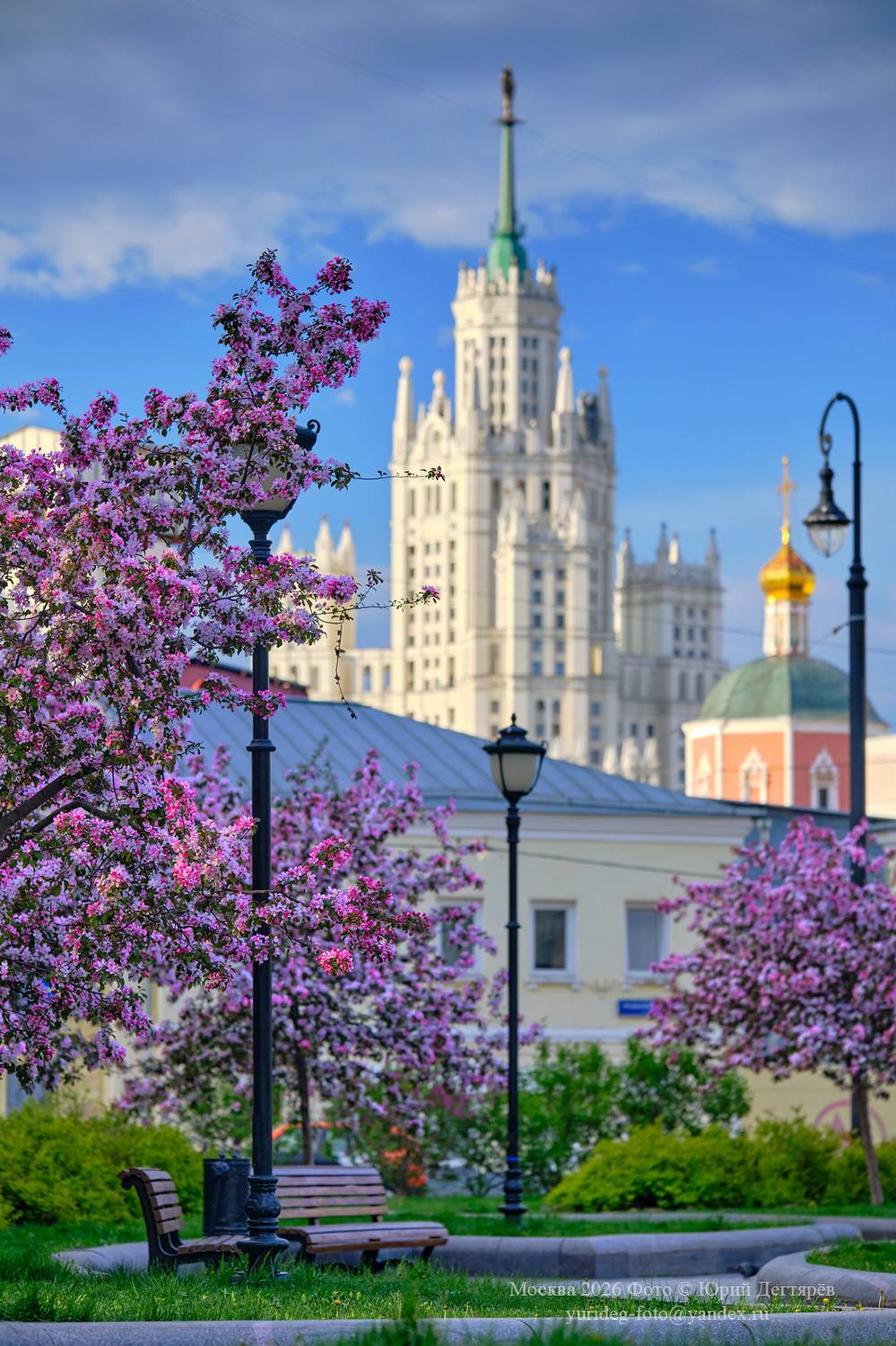 москва, котельническая, высотка, весна, хитровка, хитровская, площадь, басманный, район, деревья, цветы, розовые, яблони, цветение, moscow, spring, apple, trees, flowers, skyscraper, Юрий Дегтярев