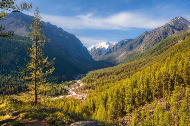 россия, горный алтай, лето, утро Начало дня фото превью