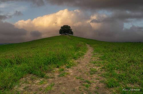 Tuscan hills