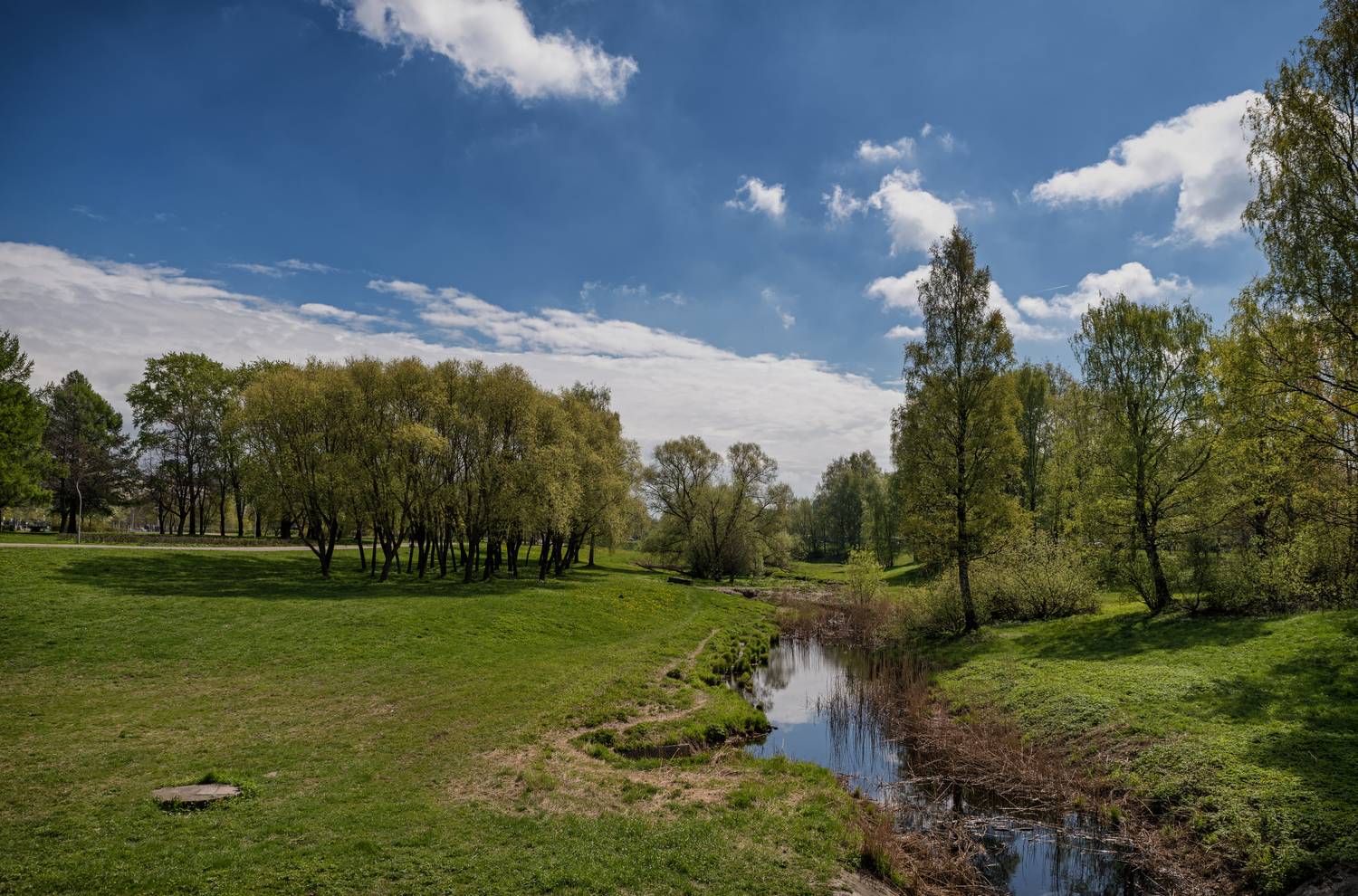весна., парк., Тихонов Дмитрий
