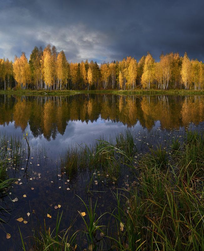 Немного солнца в пасмурный день фото превью