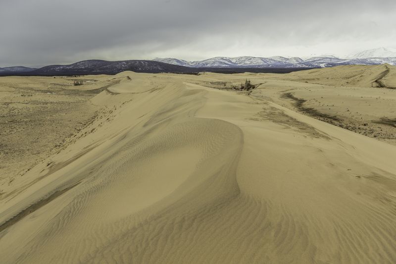 чарские пески, забайкалье Бархан чарских песков. фото превью