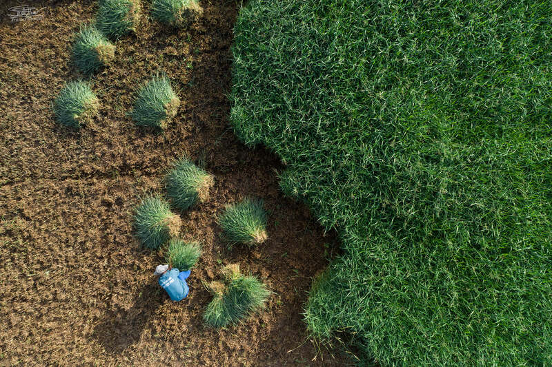 mavic 2 pro, phú yên, minimalist ... фото превью