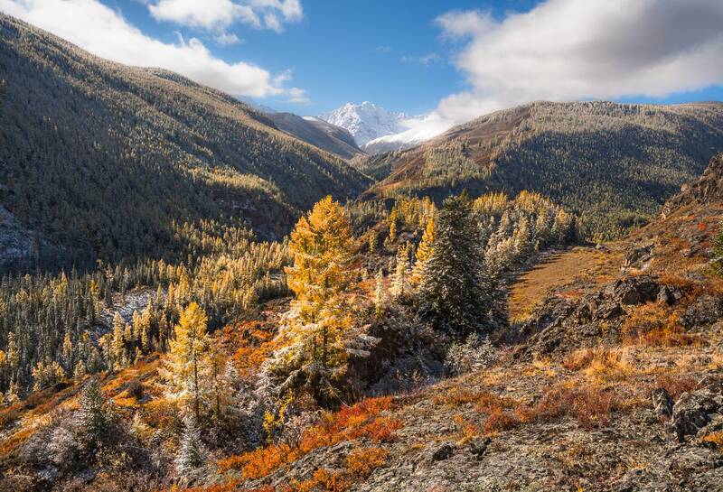 россия, горный алтай, горы, осень Прикосновение фото превью