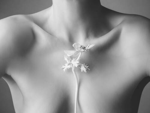 Anemone. Nude Botanica