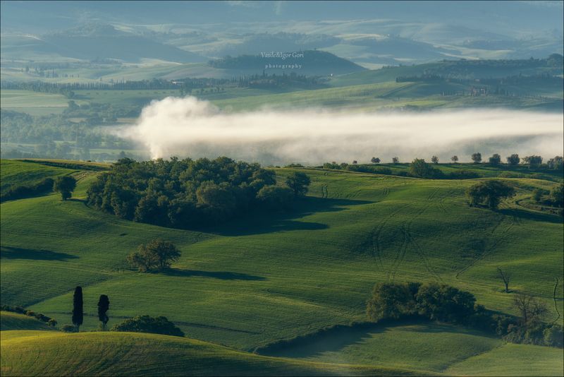 italy, san quirico dorcia, italia, green, кипарис, весна, италия, тоскана, belvedere, rural, pienza, cipressi, холмы, тени, утро, свет, пейзажи тосканы Тоскана оттенки зелёного фото превью