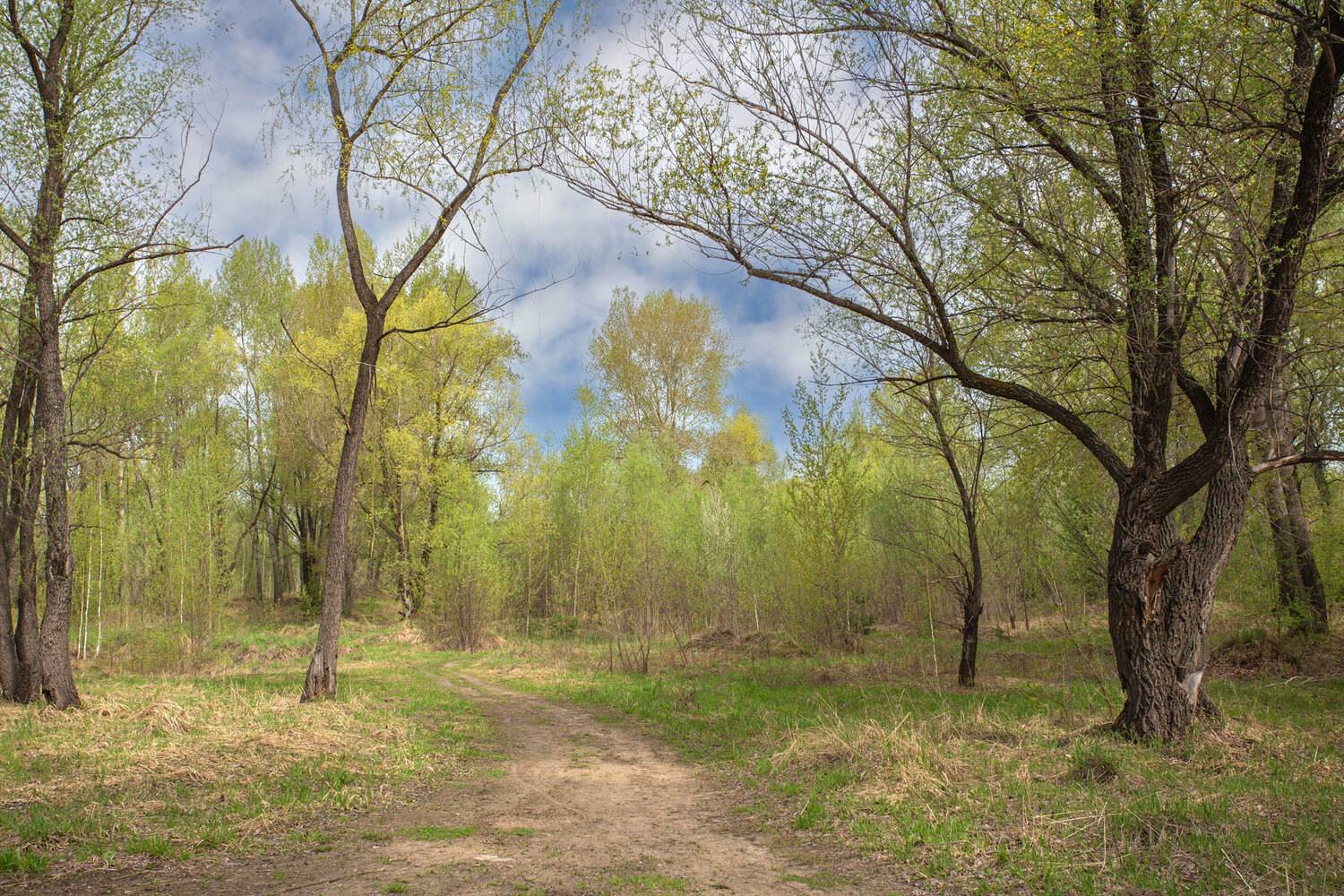 , Илья Берт