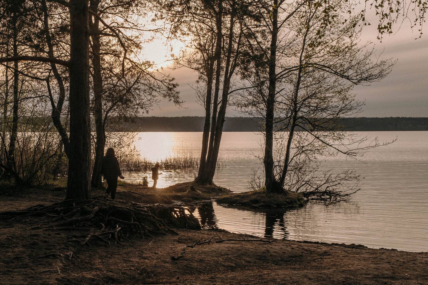 nature, sunset, lake, озеро, природа, закат, Наталья Деменкова