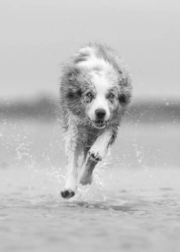 Chasing Waves