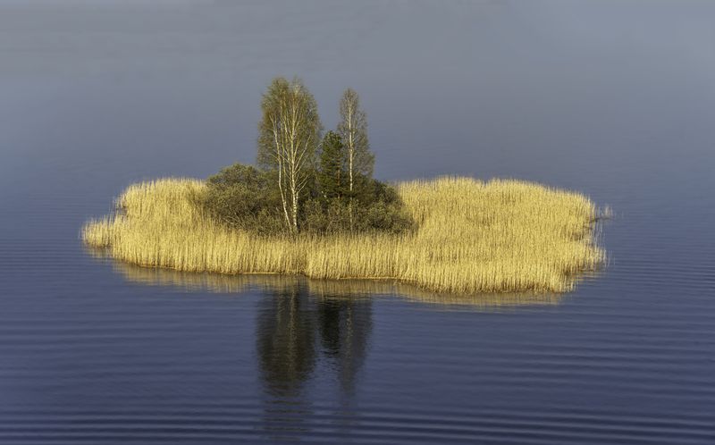 Россия, Тверская область, озеро Селигер Селигерские кадры мая фото превью