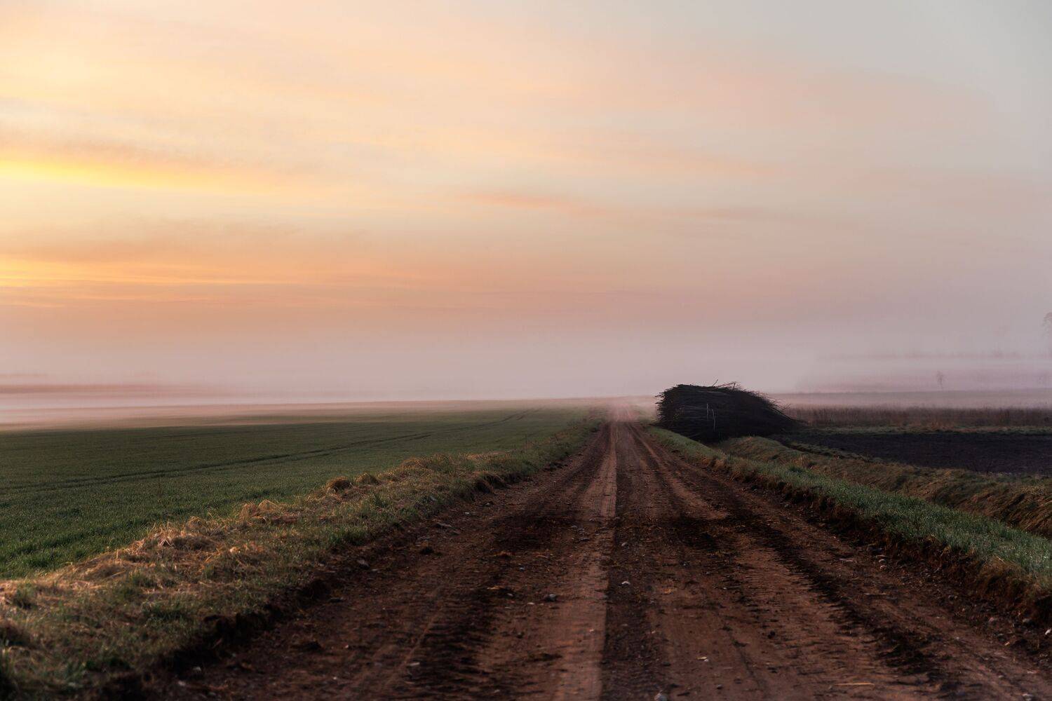 ceļ&scaron;, krāsa, Cielava Dace