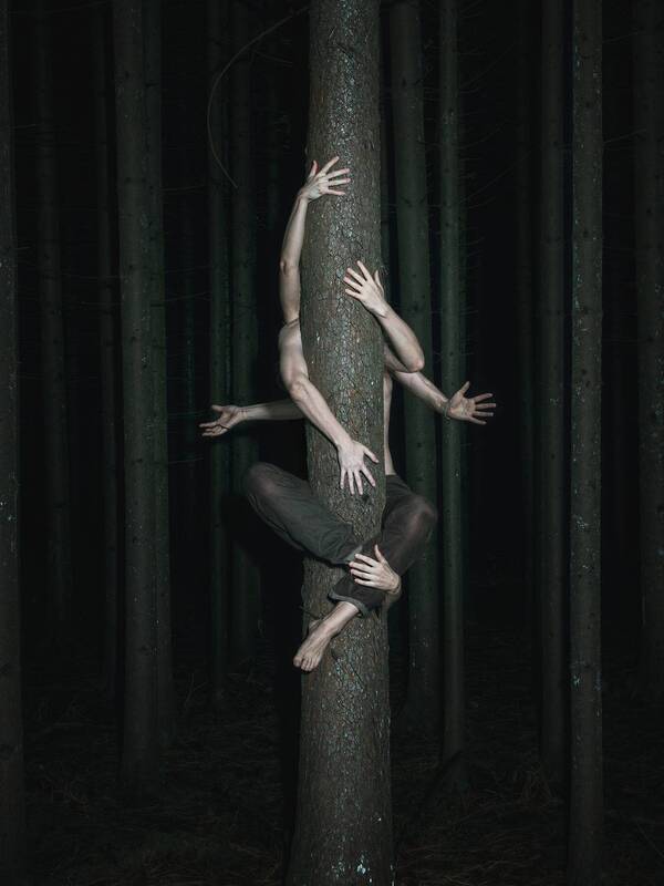 Root System