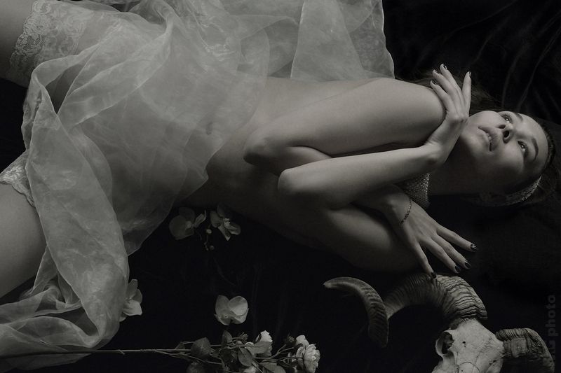 Virgo & Aries #12 фото превью