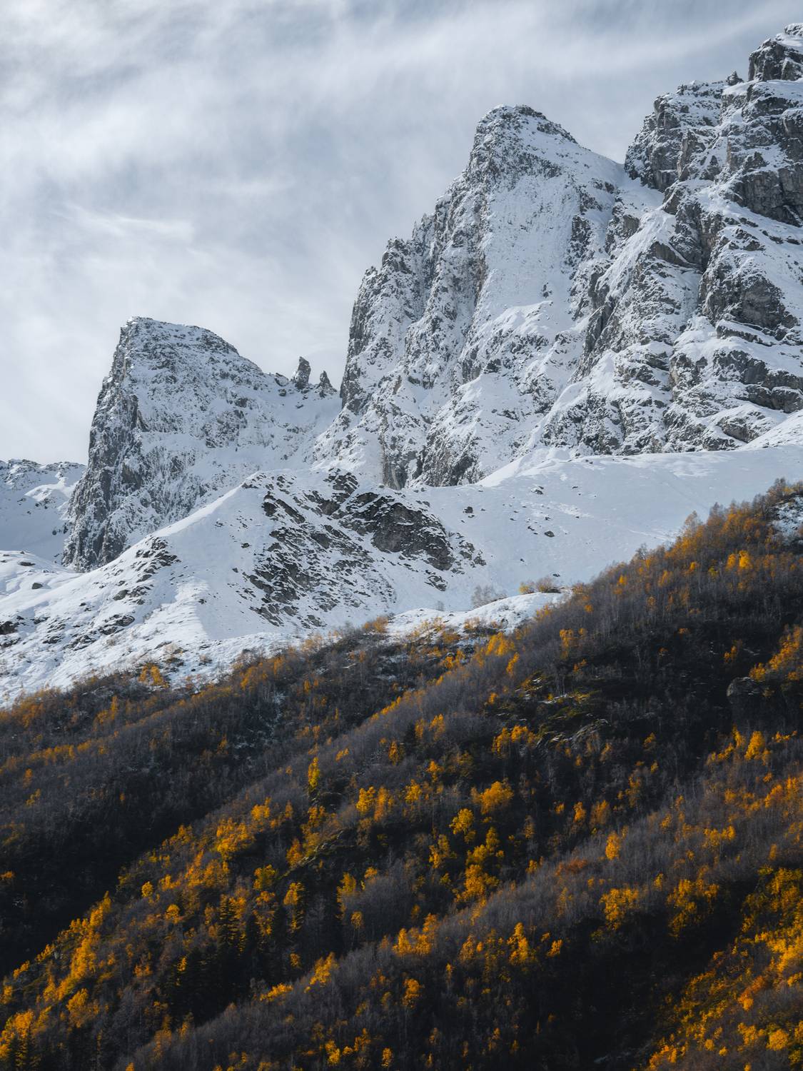 горы, лес, осень, кавказ, Растворов Игорь