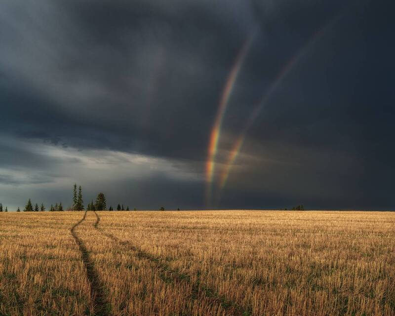 После майской грозы фото превью
