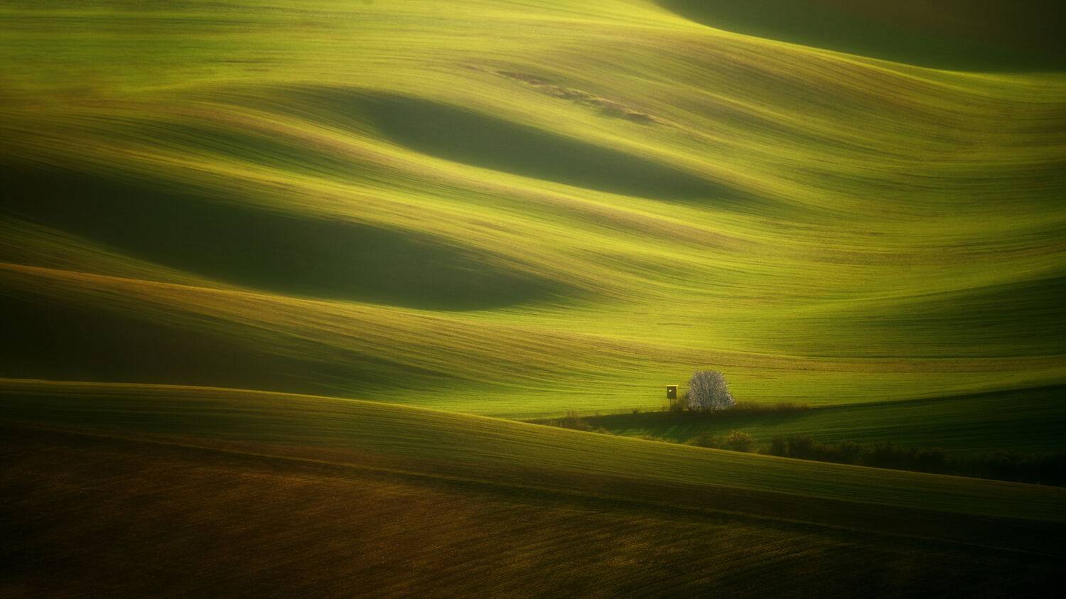 field, spring, Samochin Milan