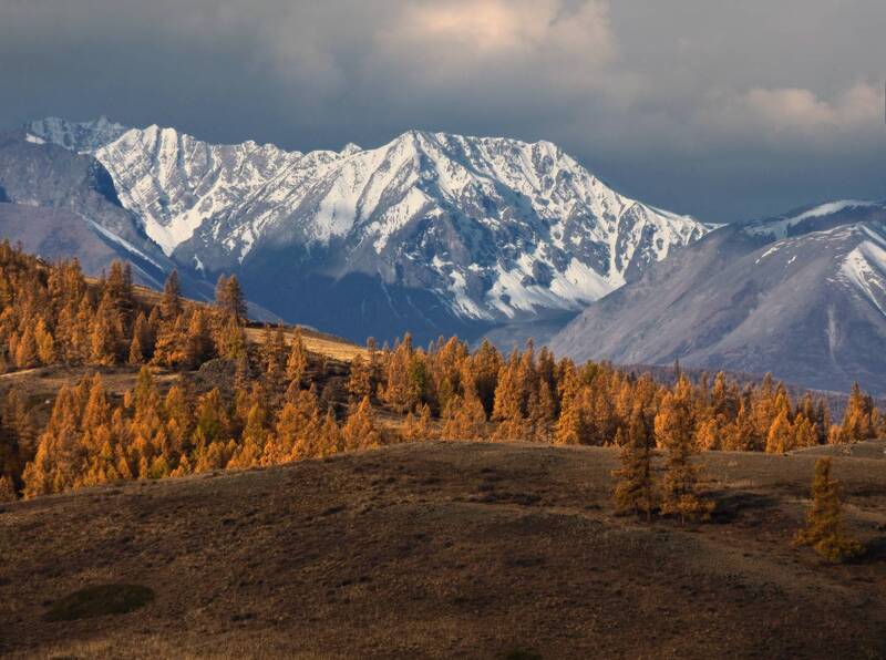 алтай, горный алтай, республика алтай, пейзаж, природа, горы, осень, северо-чуйский хребет, курай Золото осеннего Алтая фото превью