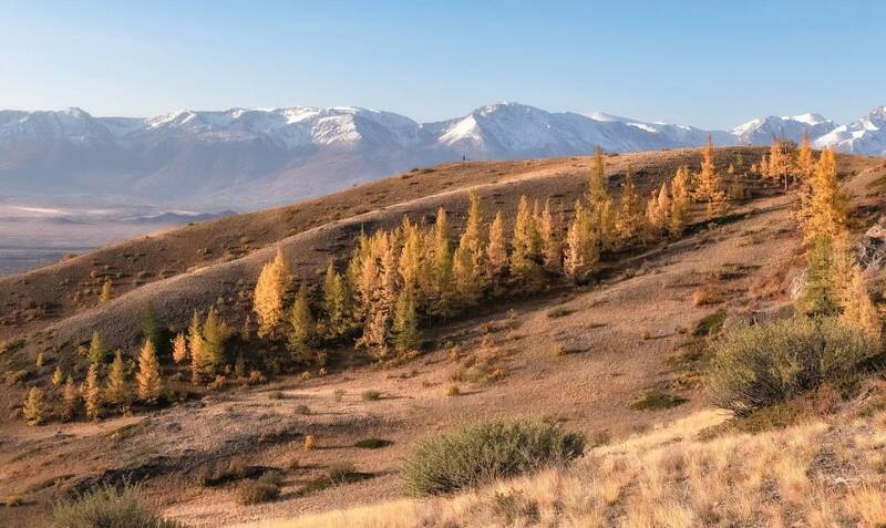 Нежные краски осени фото превью