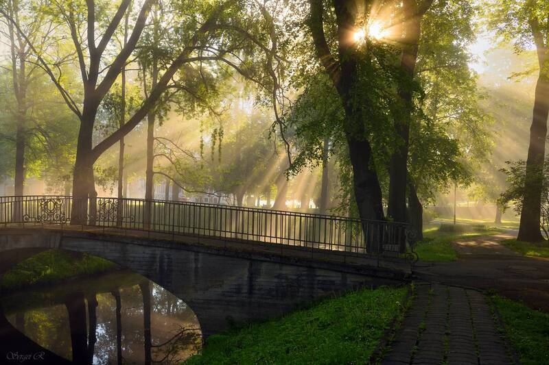 Утро старого парка... фото превью