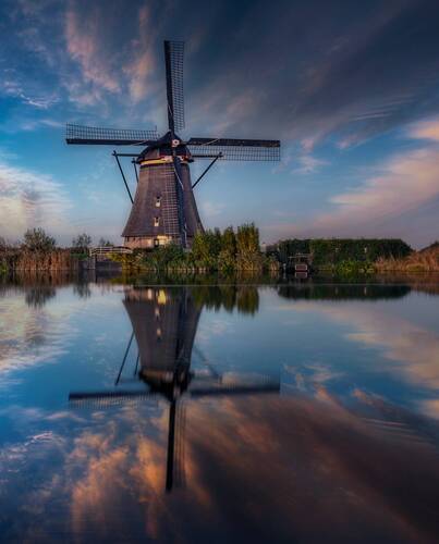 Holland reflection