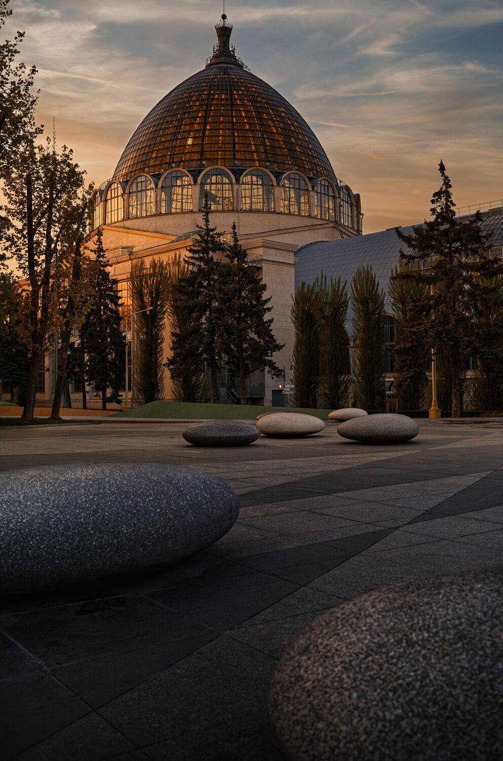, Mike Danilov