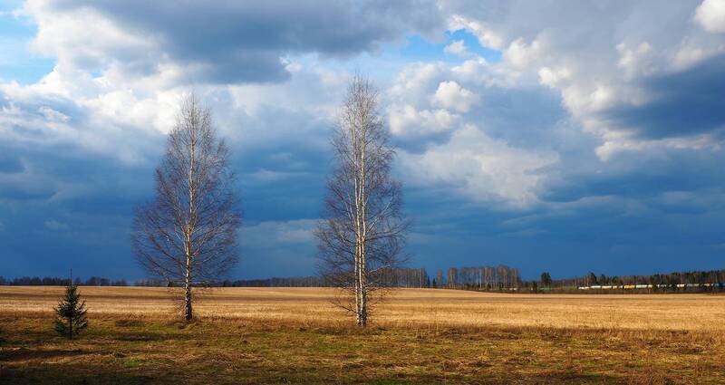 весна Пастель весенняя фото превью