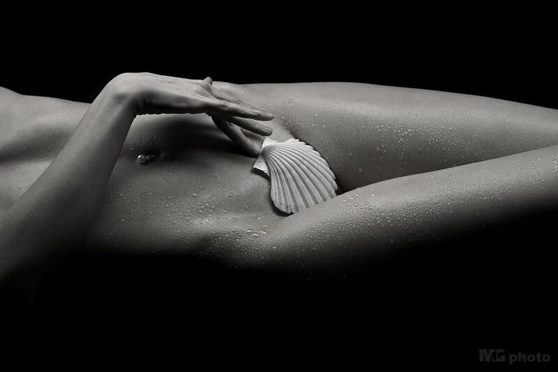 Body & shell #01 фото превью