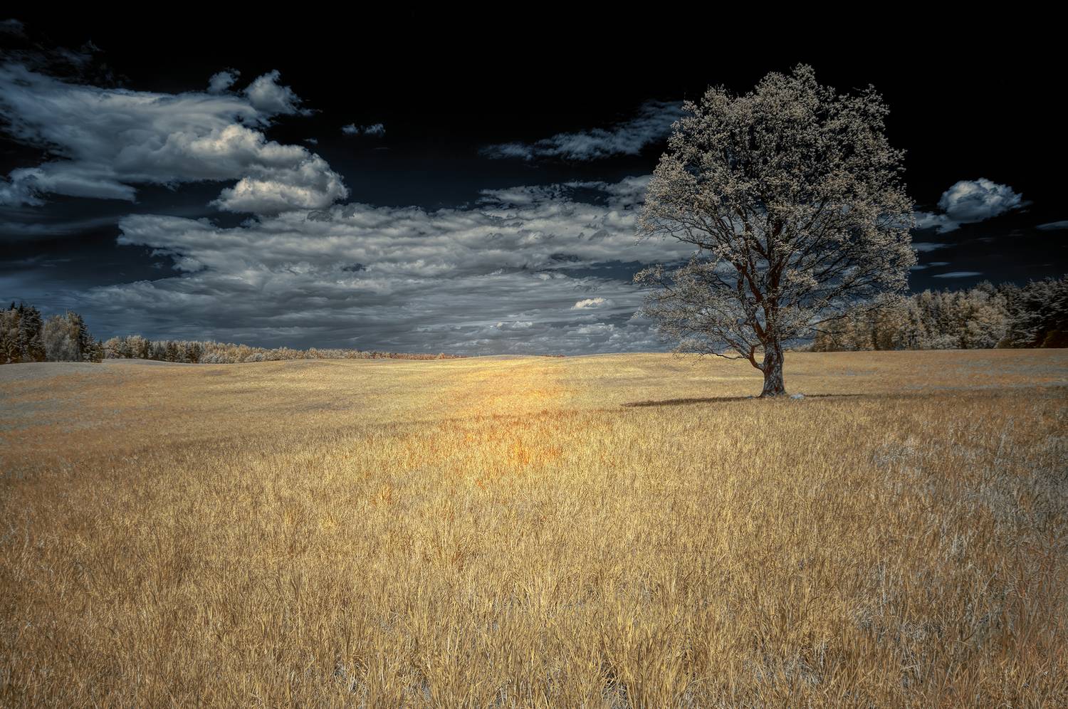 инфракрасная фотография, инфракрасное фото, infrared, пейзаж, весна,  Sixten (Сергей)