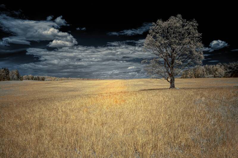 инфракрасная фотография, инфракрасное фото, infrared, пейзаж, весна Лунный май фото превью