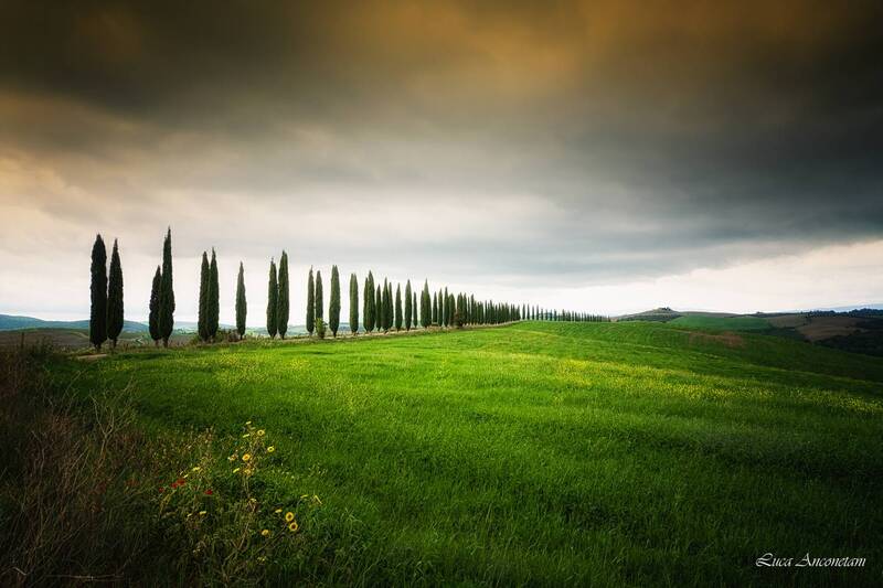 Tuscany фото превью
