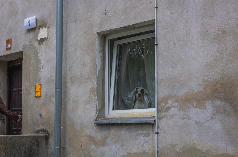 ... фото превью