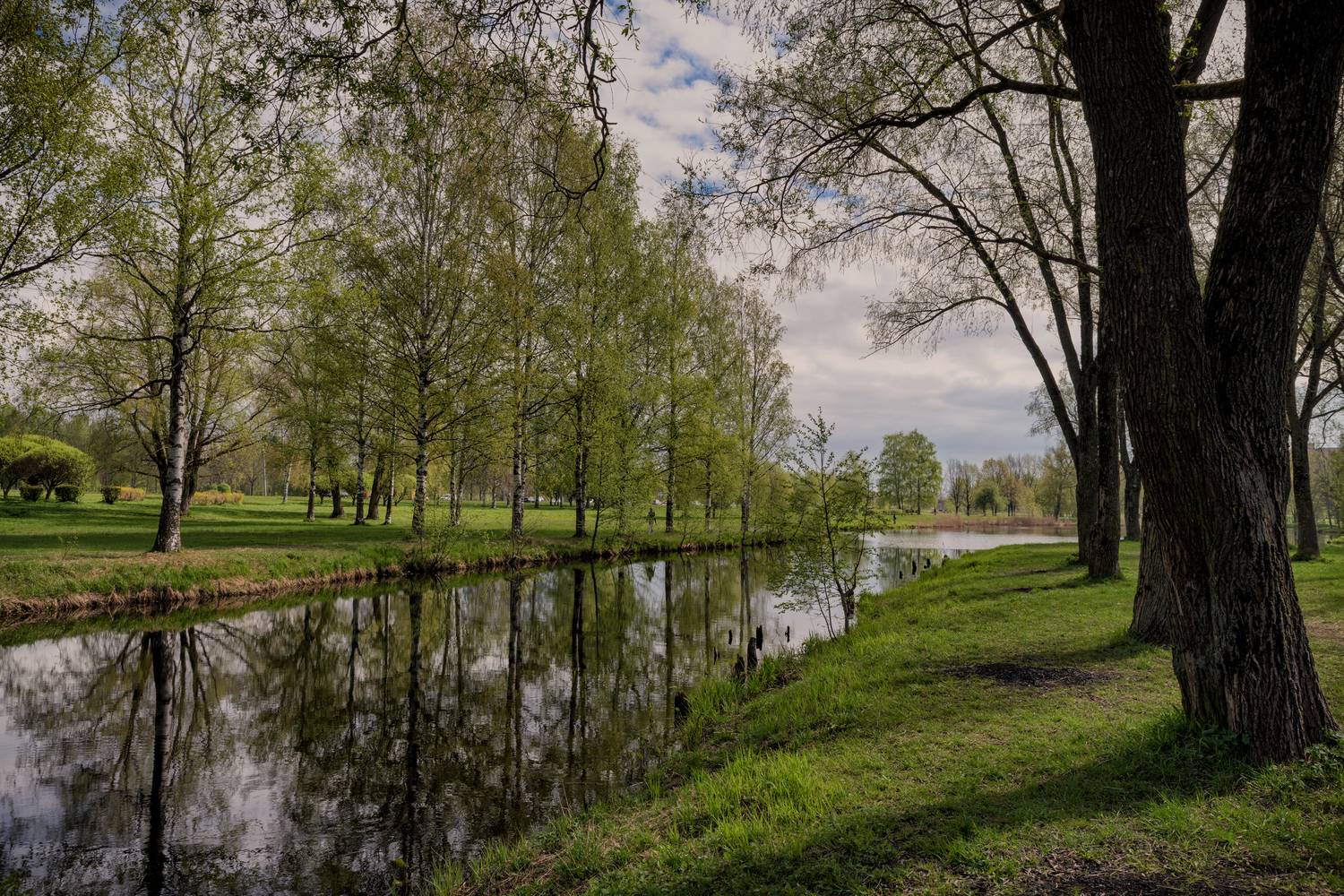 весна., парк., Тихонов Дмитрий