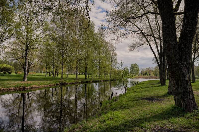 весна., парк.  фото превью