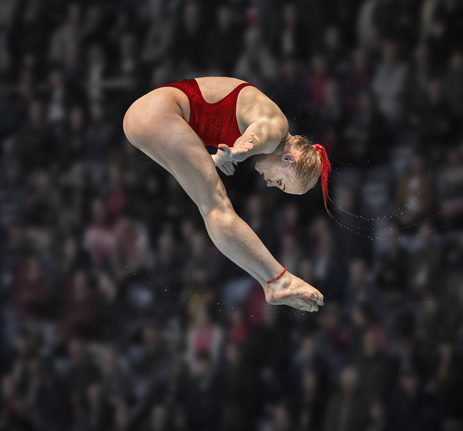 sport, sports_photography, diving, Leach Eddie