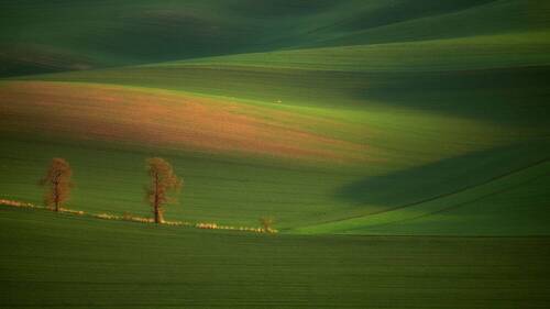In the field