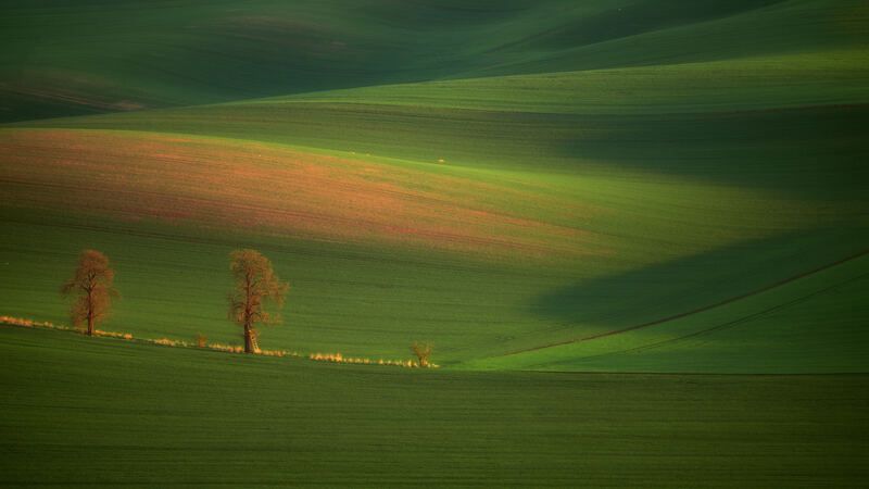 field, sprin, sunset In the field фото превью