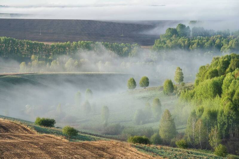 Весенний туман над пашнями Алтайского края…  Spring fog over the arable land of the Altai Territory... фото превью