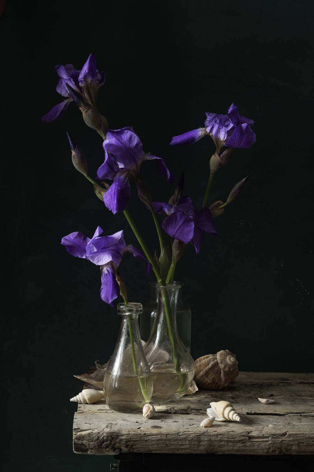 , Julia Vikhrova