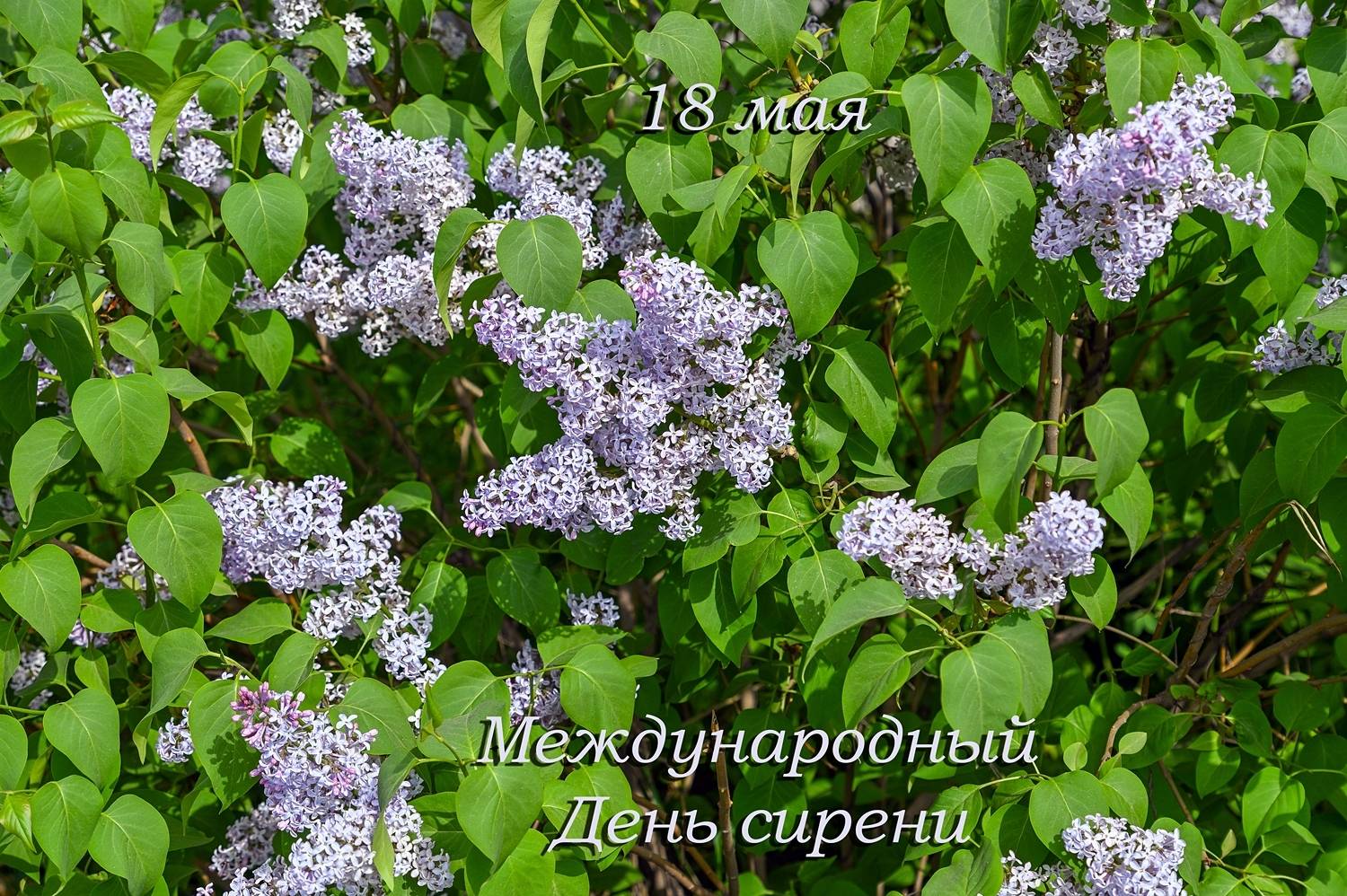 ,  Валерий