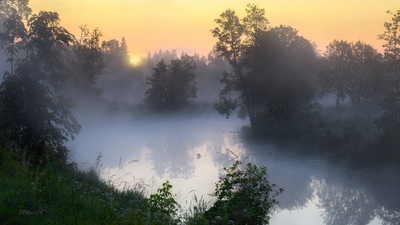 лето, рассвет, утро, июнь, река, туман, лес, кусты Магия июньского рассвета... фото превью