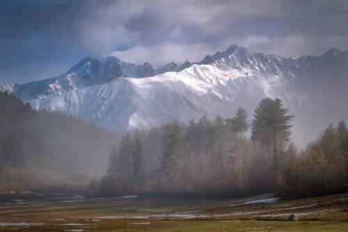 Forest And Mountains