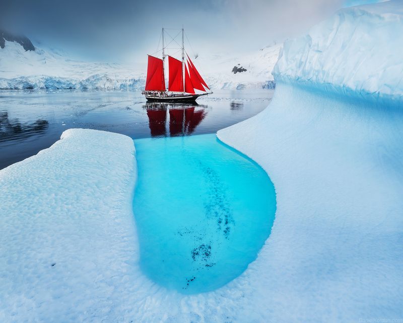 Antarctica фото превью