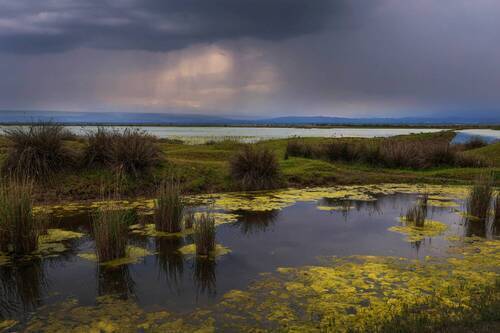 ***