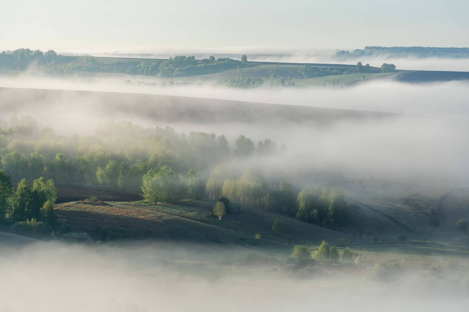 Весенний туман над пашнями Алтайского края… Spring fog over the arable land of the Altai Territory.... Автор: Евгений Важенин алтай, алтайский край, туман, холмы, рассвет, весенний пейзаж, бийск, sony a7m4, sel200600, Евгений Важенин
