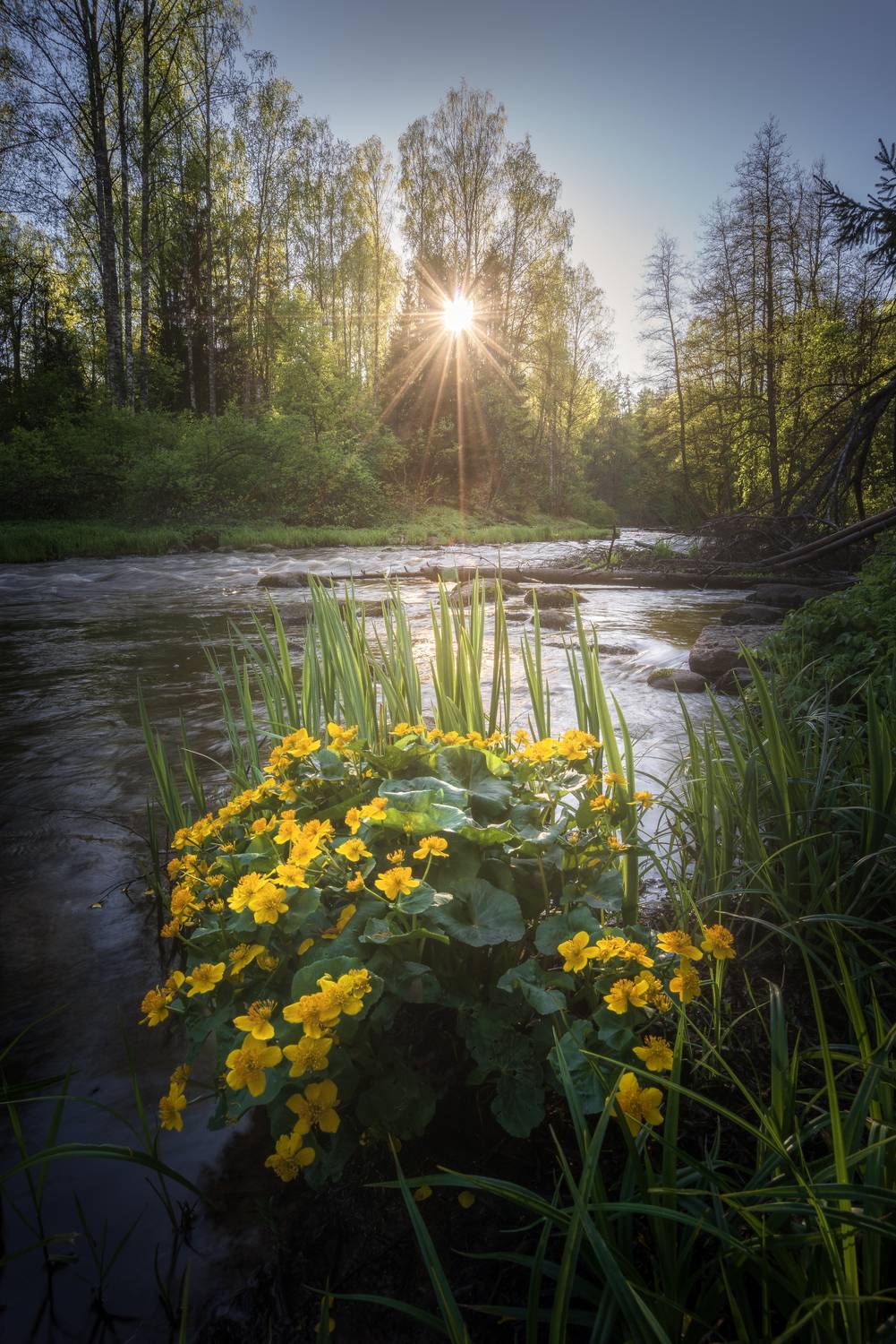 , Ivan Glinskiy